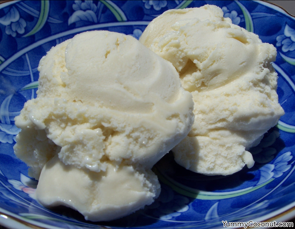 Vanilla Coconut Milk Ice Cream