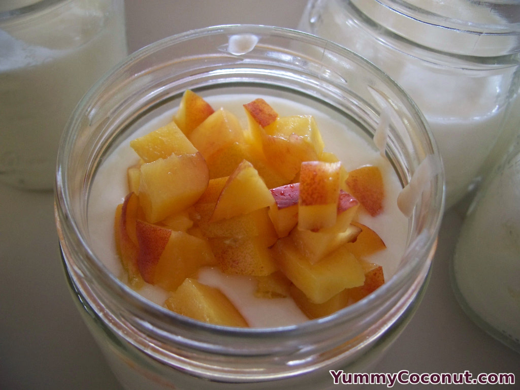 Coconut Milk Yogurt