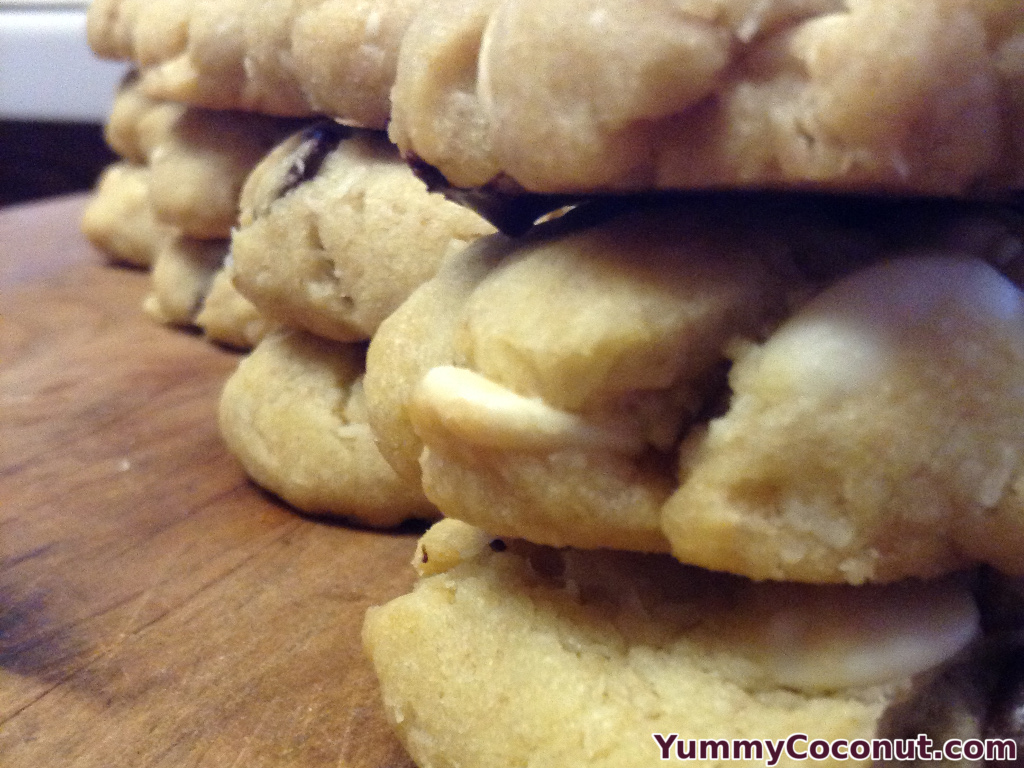 Coconut Chocolate Chip Cookies