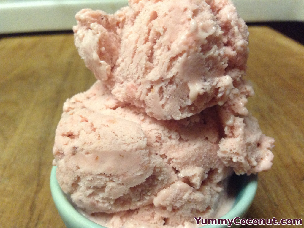 Strawberry Coconut Milk Ice Cream