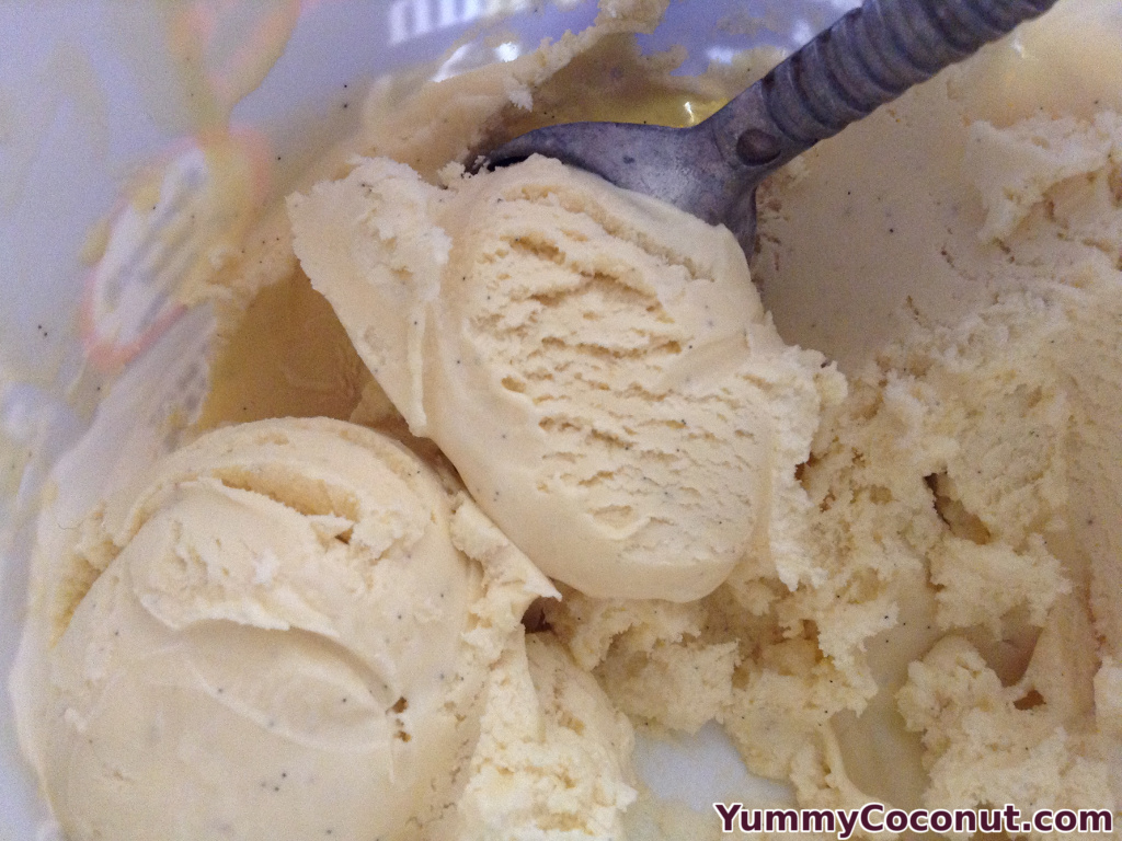 vanilla bean coconut milk ice cream