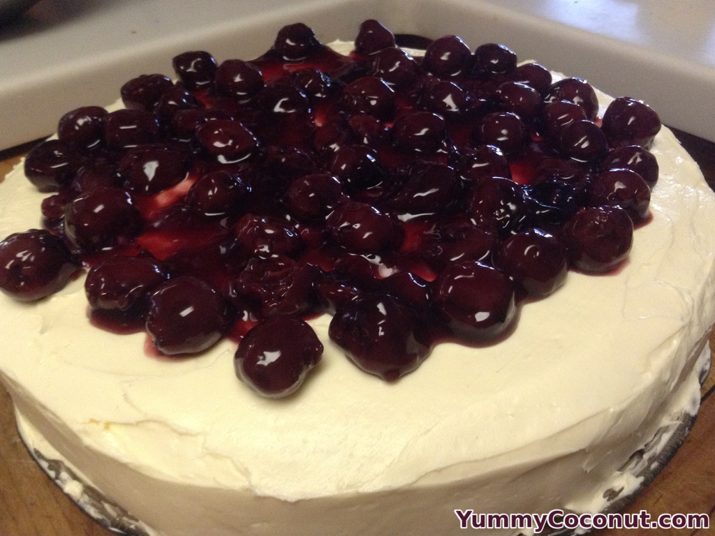 Finished Coconut Flour Chocolate Cake