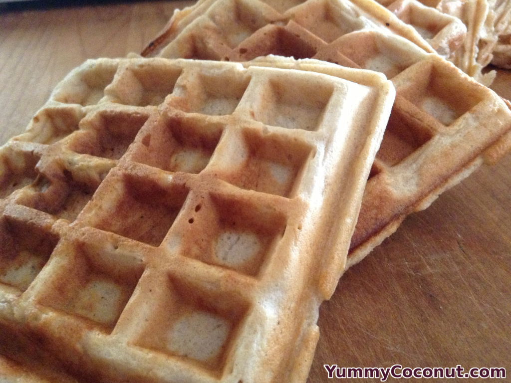 Sourdough Waffles with Coconut Milk