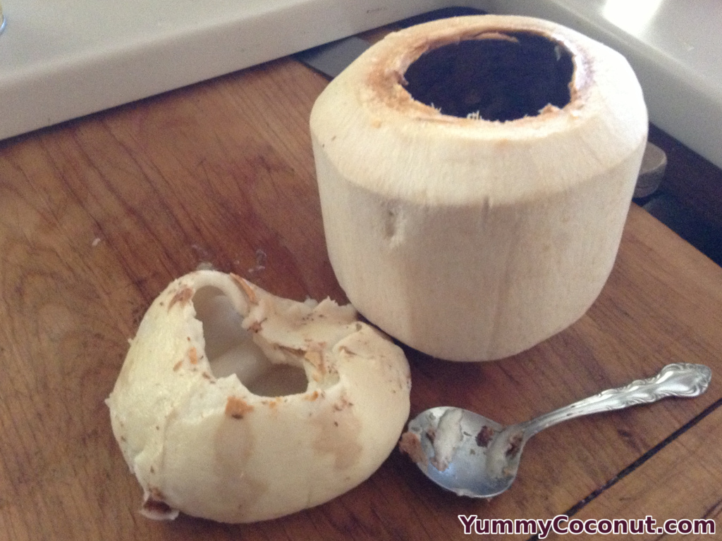 Young Coconut meat removed