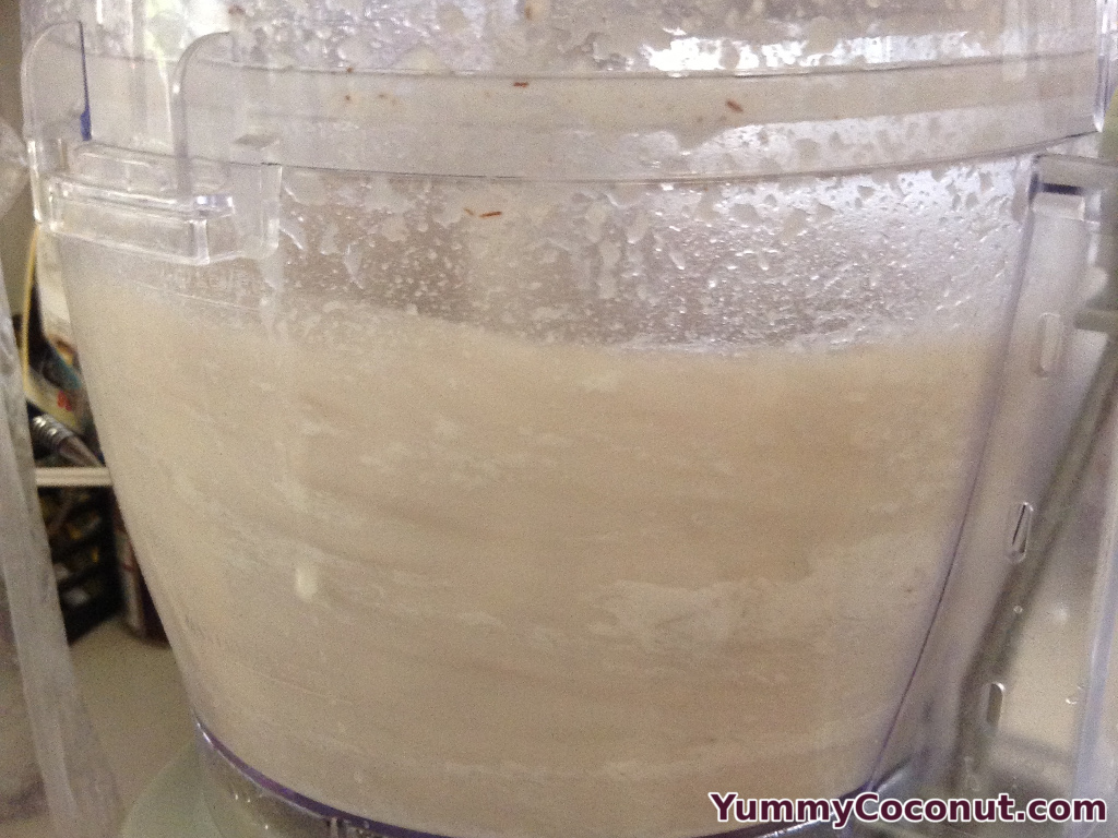coconut milk processing the milk