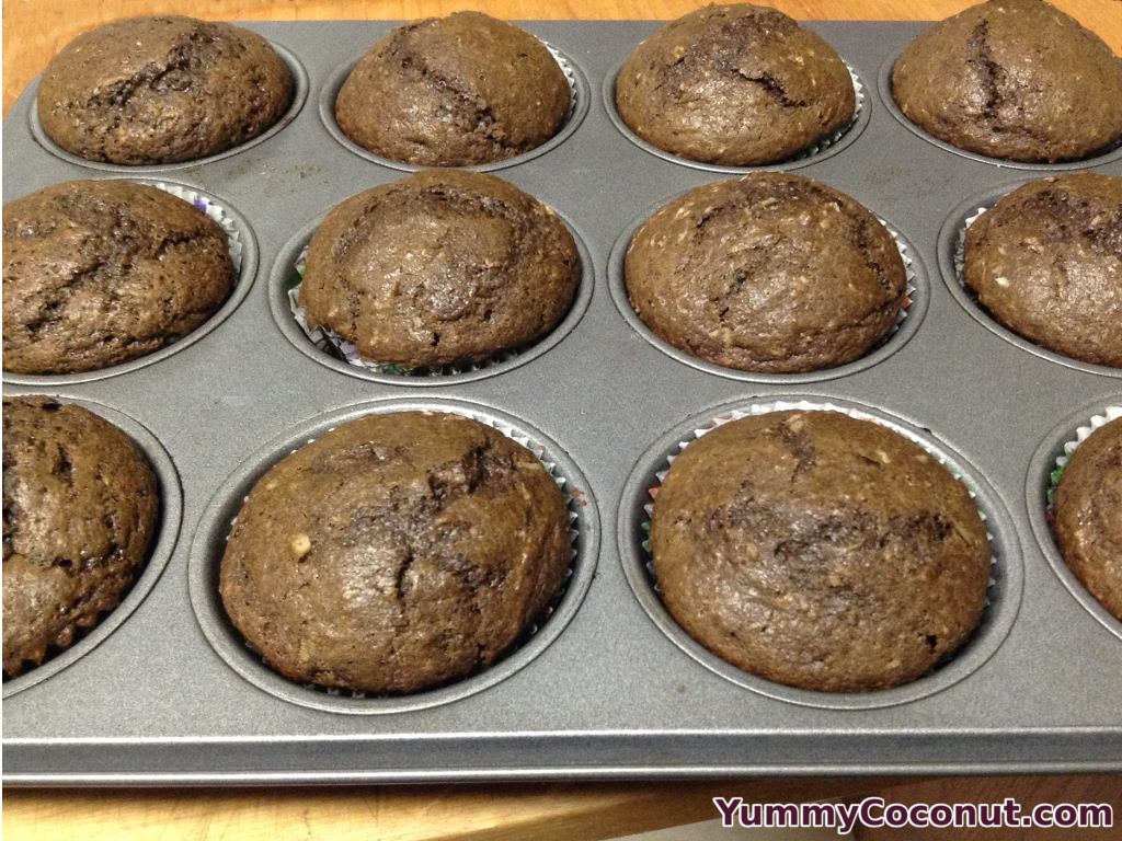 Coconut Chocolate Sourdough Cupcakes